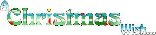 A Christmasy Wish Thing